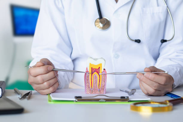 Best Emergency Wisdom Tooth Extraction in Joliet, IL
